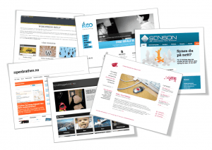 wordpress utviklere1 300x213 Wordpress
