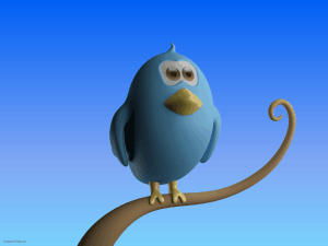 Twitter 10 minutter hanspetter.info  300x225 Slik kan du lære deg Twitter på 10 minutter