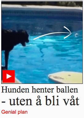 VG-hunden-henter-ballen