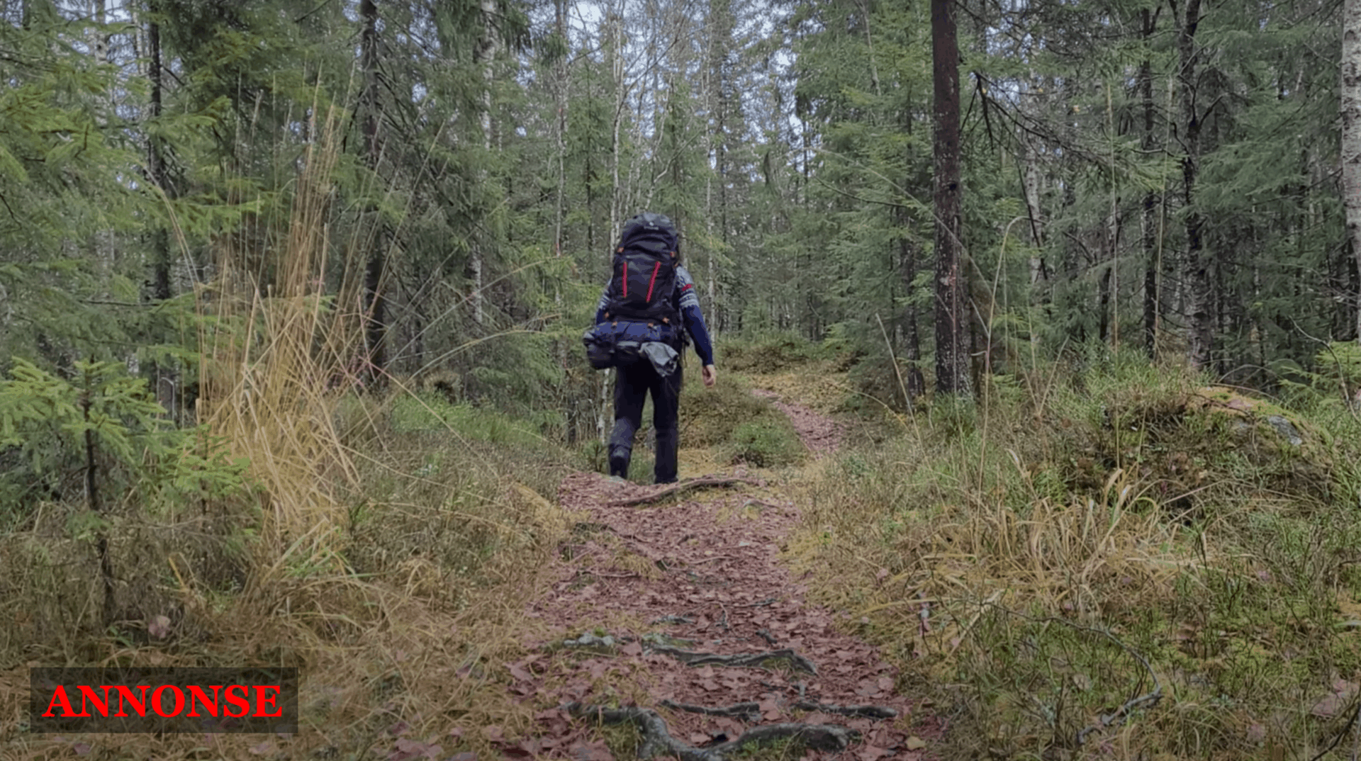 Samsung Galaxy S20 FE