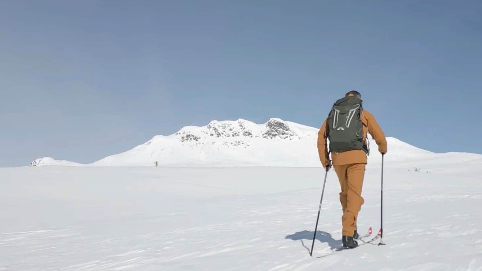 tilkoblet og til stede